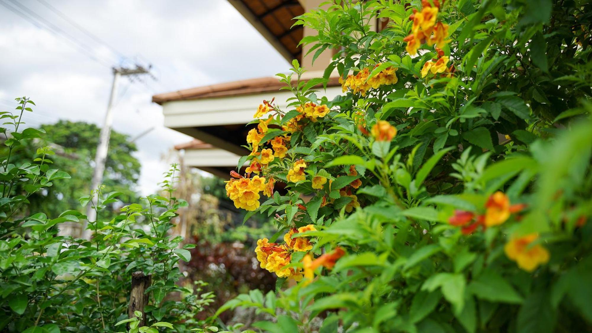 Aparthotel Laph Kham House Chiang Mai Exterior foto