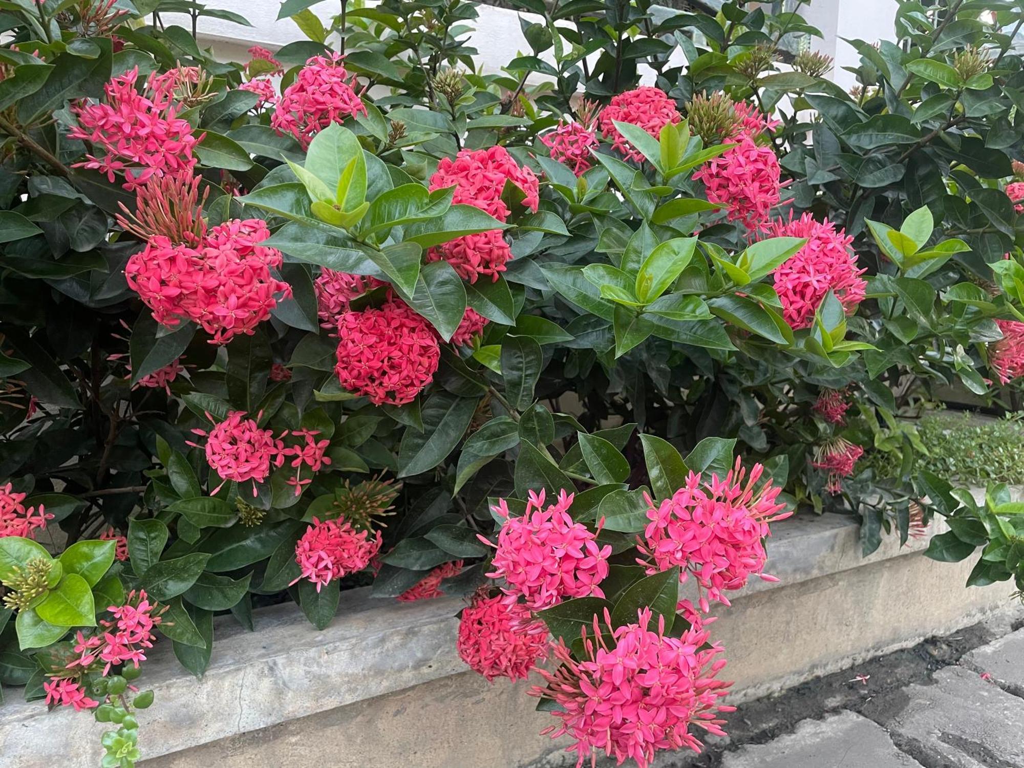 Aparthotel Laph Kham House Chiang Mai Exterior foto